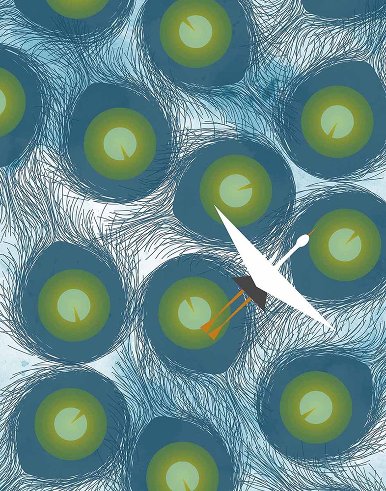 Illustration of The Peacock and the Crane Fable